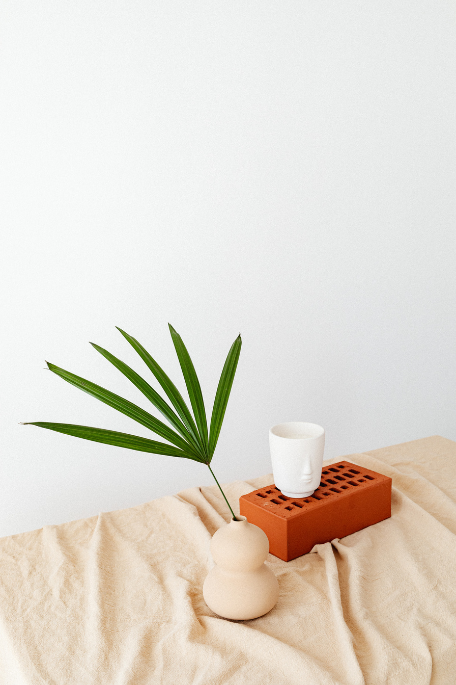 Green Plant on Ceramic Pot